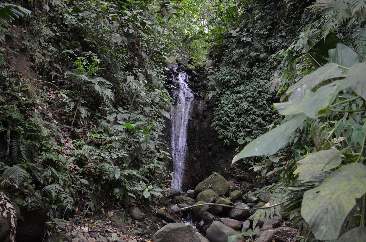 Lumbres Arenal Villa La Fortuna Kültér fotó