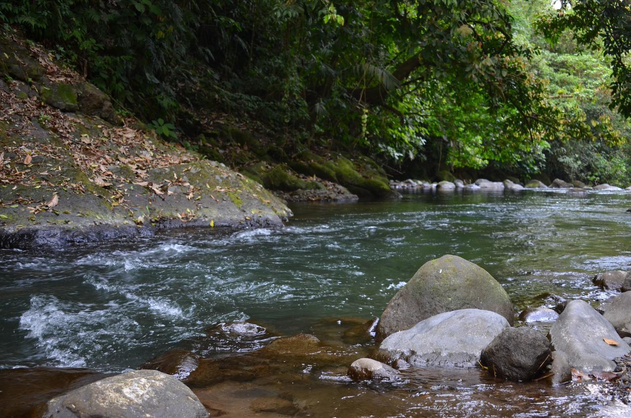 Lumbres Arenal Villa La Fortuna Kültér fotó
