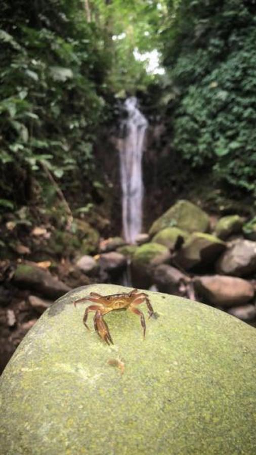 Lumbres Arenal Villa La Fortuna Kültér fotó